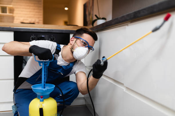 Best Wasp Removal Services  in Bon Aqua Junction, TN