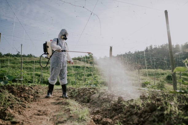 Best Mosquito Control Services  in Bon Aqua Junction, TN