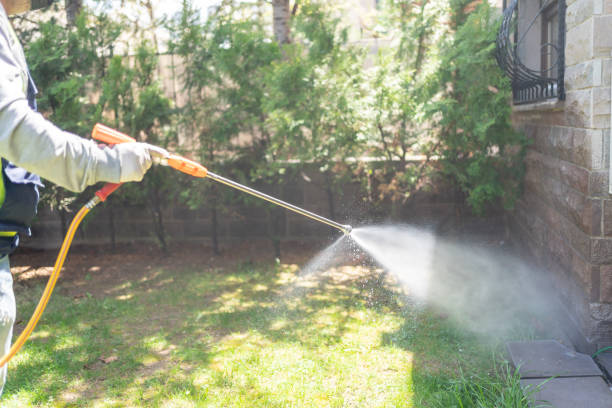 Best Ant Control Services  in Bon Aqua Junction, TN