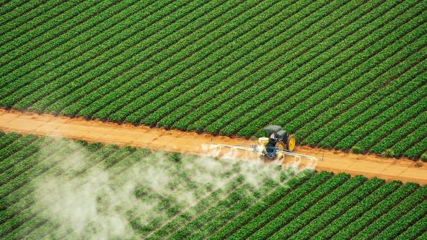 Reliable Bon Aqua Junction, TN Pest Control Solutions
