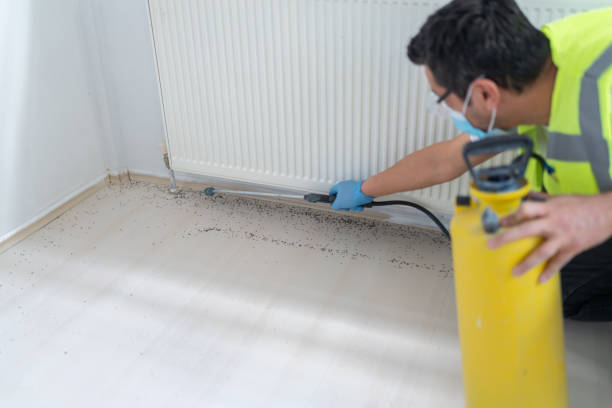 Best Commercial Pest Control Services  in Bon Aqua Junction, TN